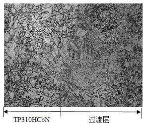 Metallographic corrosive liquid for bimetal composite pipe with transition layer and etching method of metallographic corrosive liquid