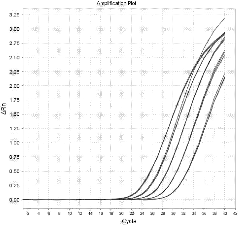 Telomere length detection method based on fluorescent quantitative PCR