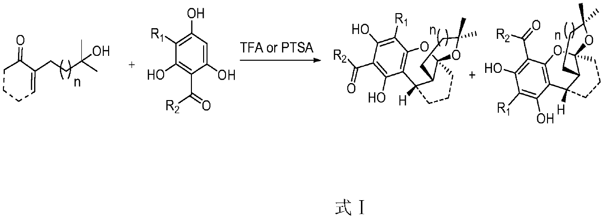 Preparation methods of myrtuco mmulone J and Myrtucommuacetalone and their analogs