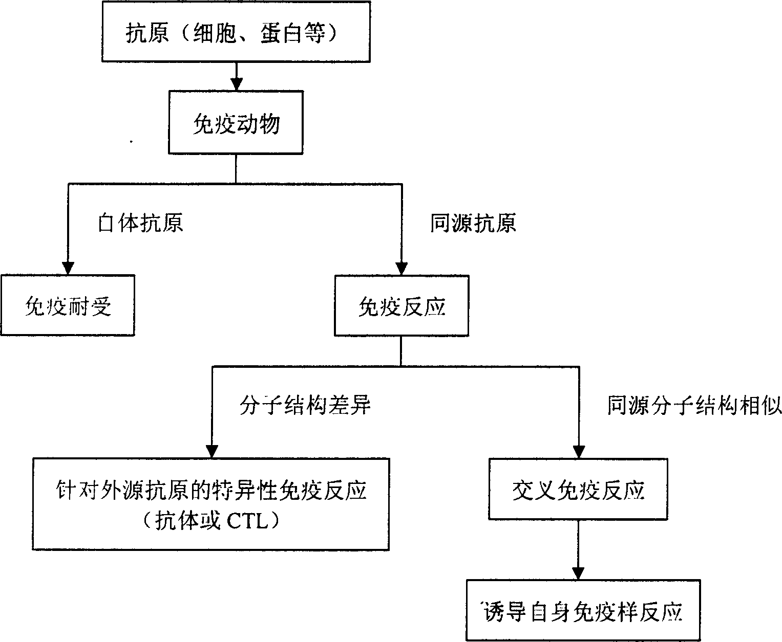 Vaccine preparing process and antitumor vaccine