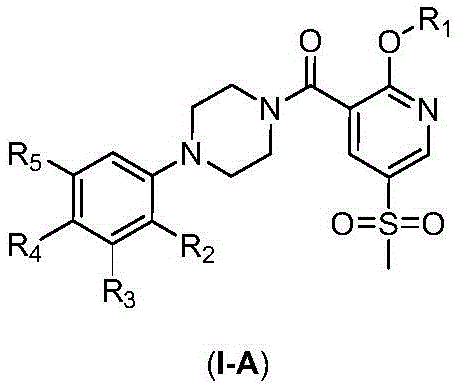 2-Substituted-oxy-5-methylsulfonyl pyridine piperazine acidamide analogue and preparation method and application thereof