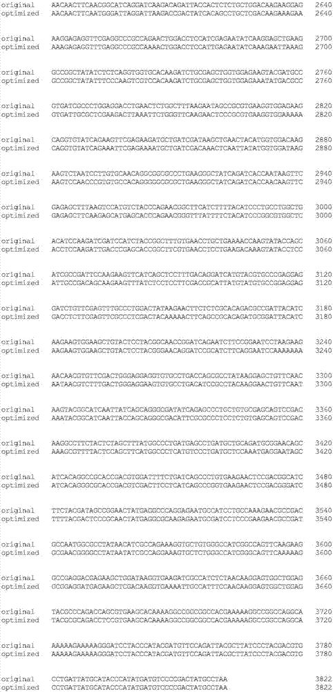 PL-LbCpf1-RVR gene for recognizing specific sites in rice gene targeting and application thereof