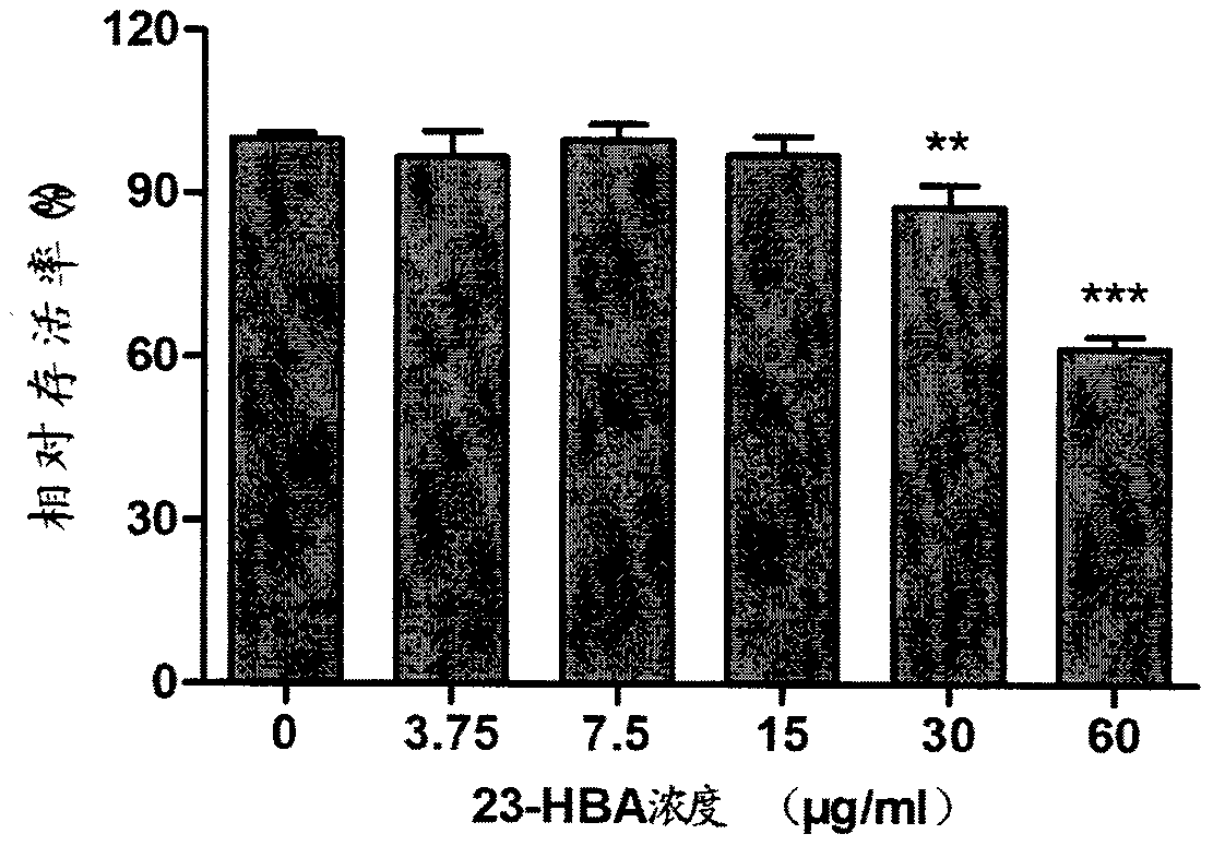 Application of 23-hydroxybetulinic acid in preparation of medicines for preventing and treating influenza