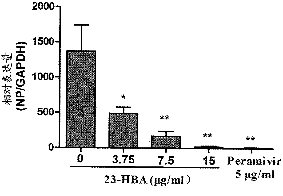 Application of 23-hydroxybetulinic acid in preparation of medicines for preventing and treating influenza