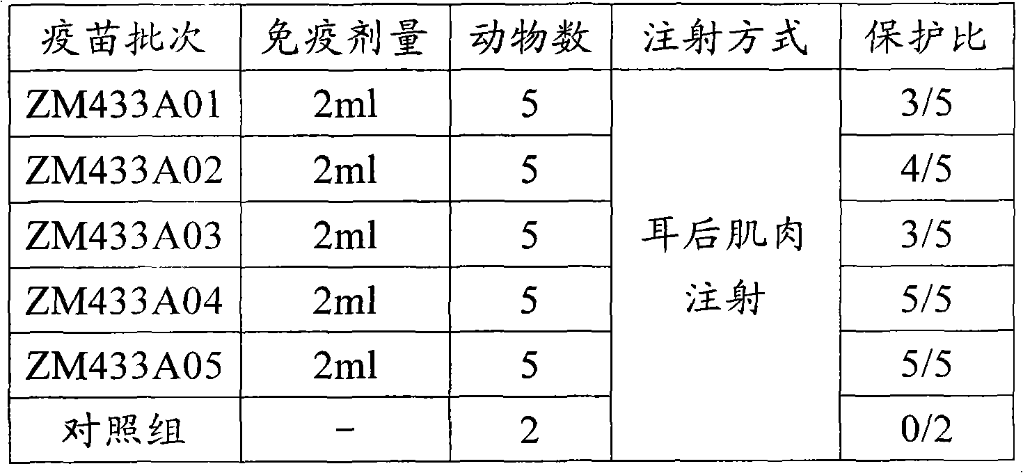 Synthetic peptide vaccine and preparation method thereof