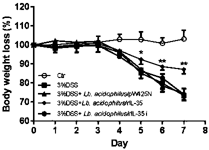 IL-35 recombinant lactic acid bacteria for improving colitis