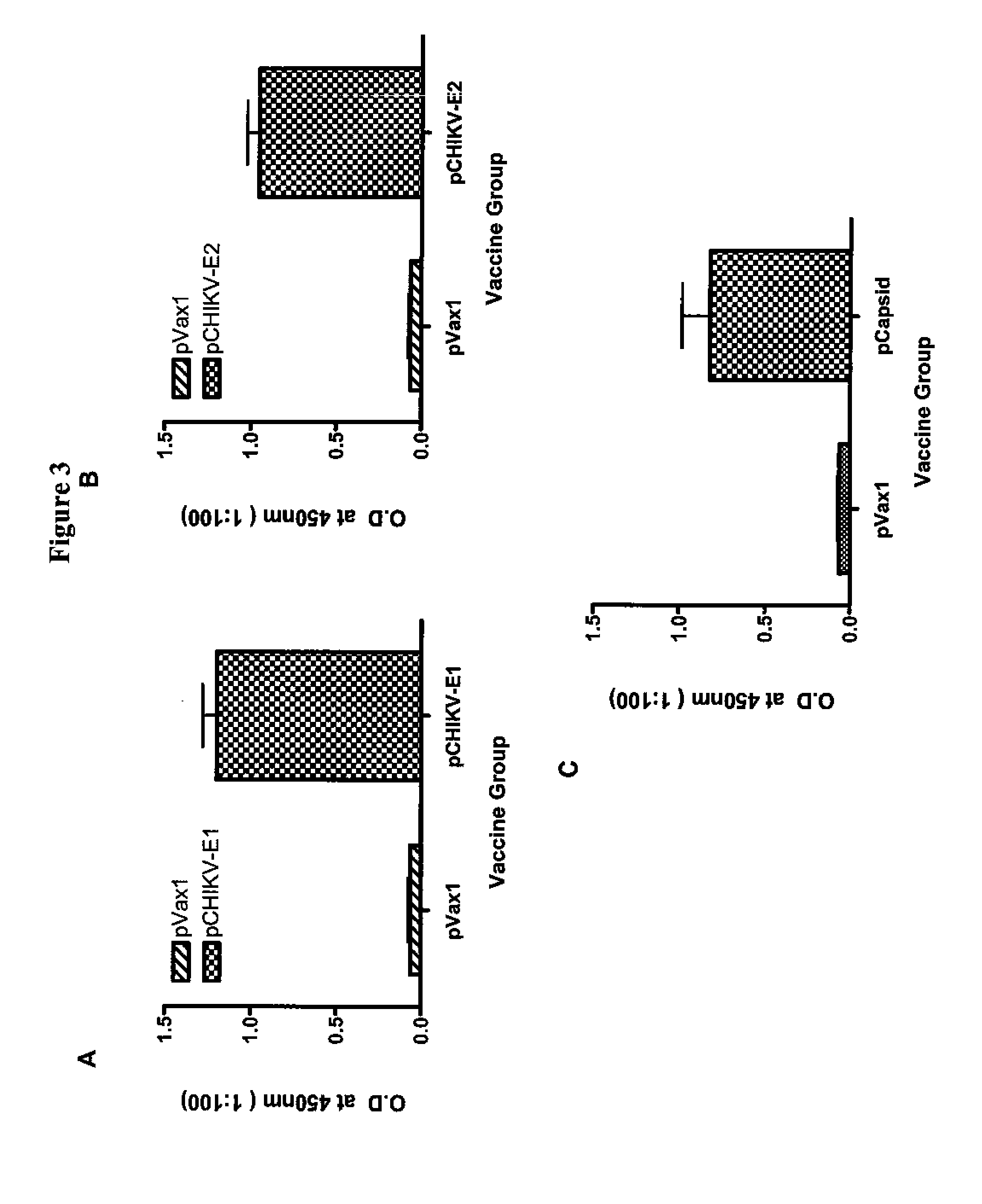 Consensus sequences of chikungunya viral proteins, nucleic acid molecules encoding the same, and compositions and methods for using the same
