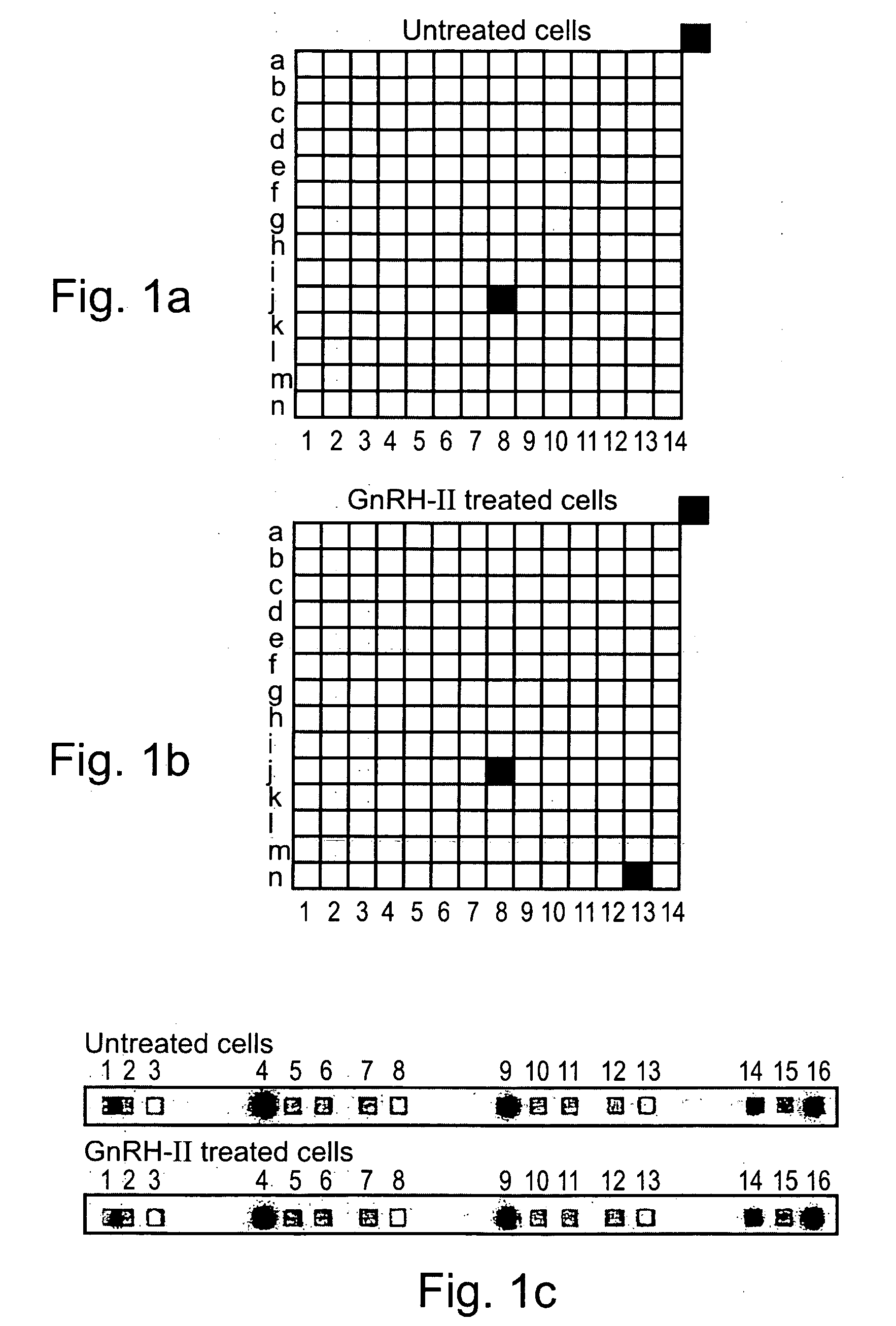 Methods and pharmaceutical compositions for gnrh-II and gnrh-II modulation of t-cell activity, adhesion, migration and extravasation