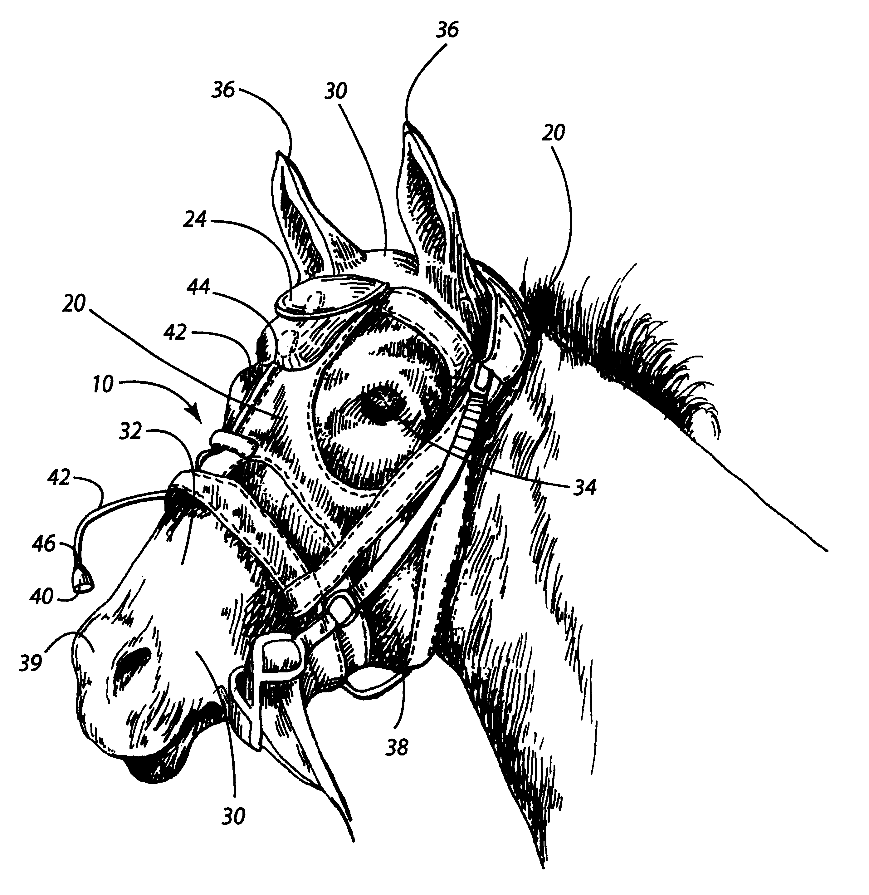 Method and device for analyzing athletic potential in horses