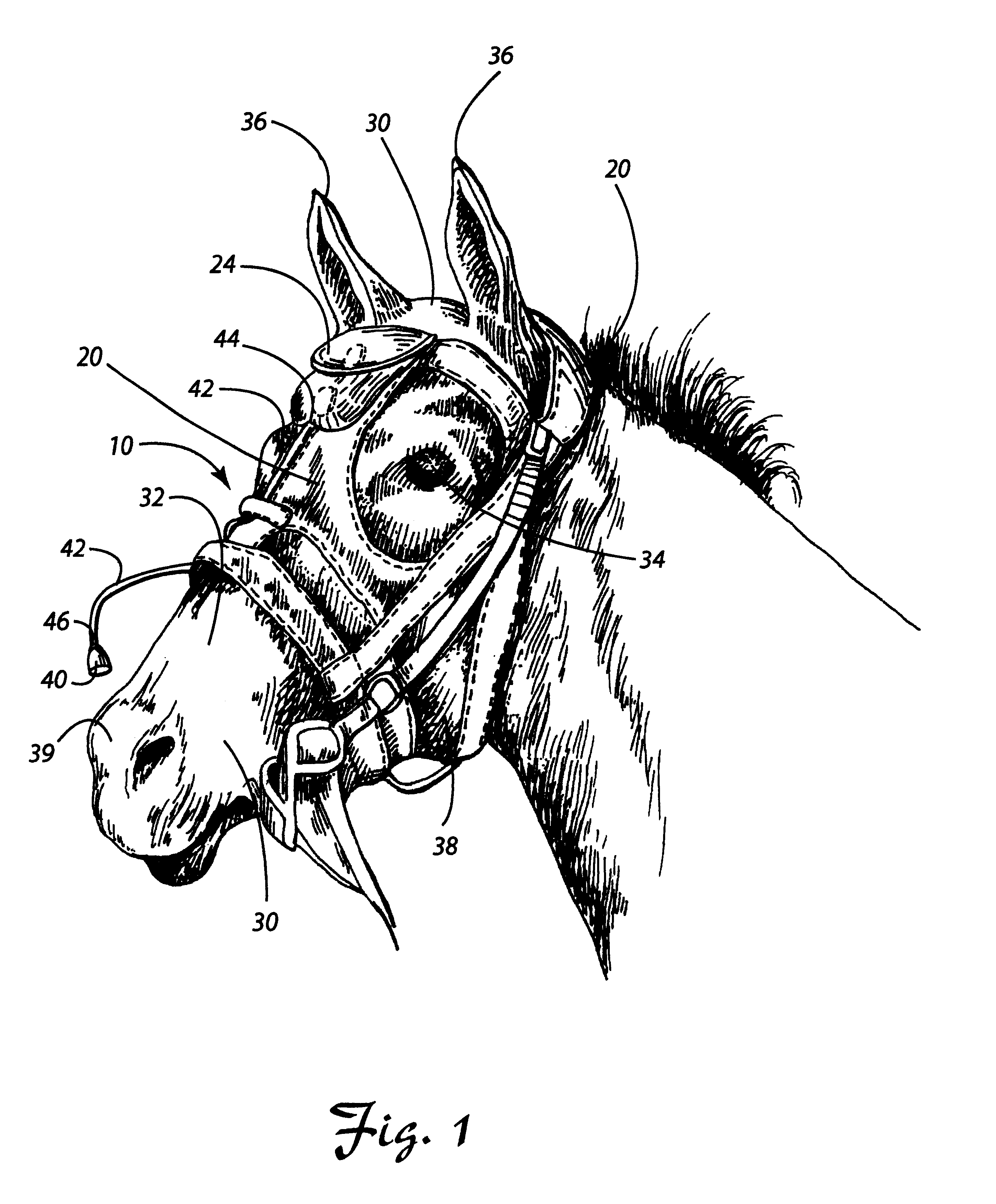 Method and device for analyzing athletic potential in horses