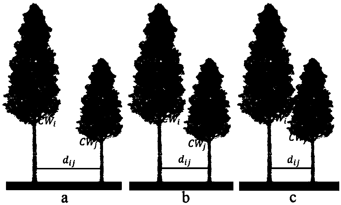 A forest stand growth simulation method and system considering space structure and growth interaction