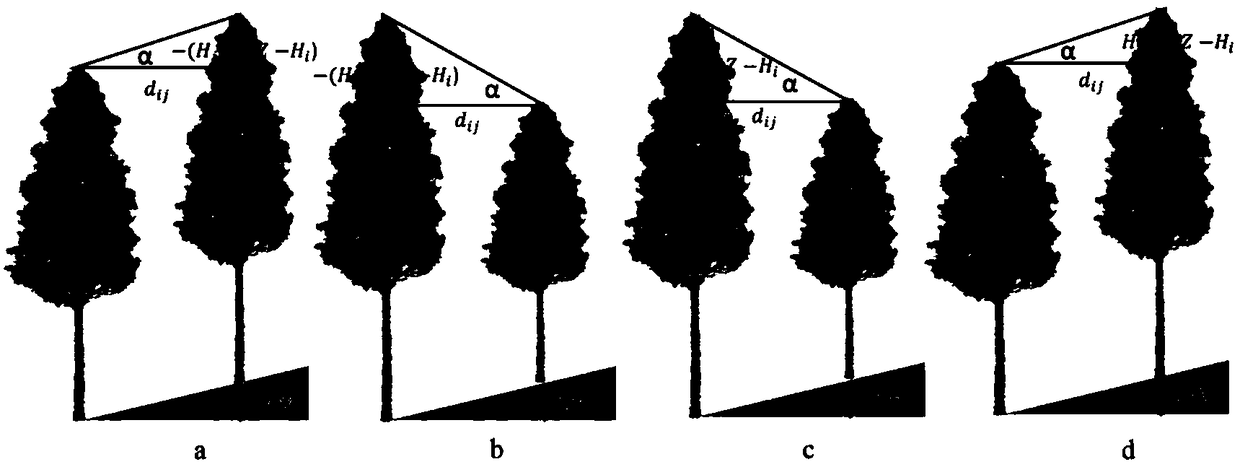 A forest stand growth simulation method and system considering space structure and growth interaction