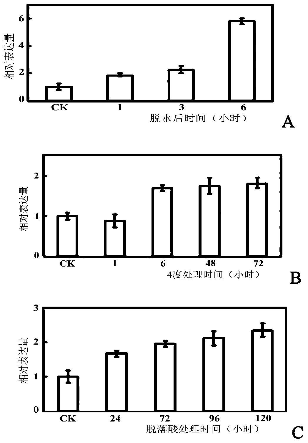 Pear drought-inducible transcription factor pbrwrky53 and its application in improving plant drought resistance