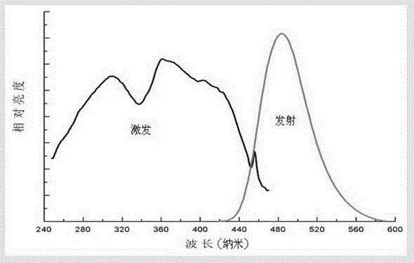 Rare Earth Ion Activated Complex Phase Fluorescent Materials