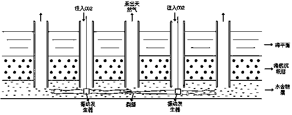 Method of combining gas replacement with vibration field for extracting natural gas hydrate reservoir