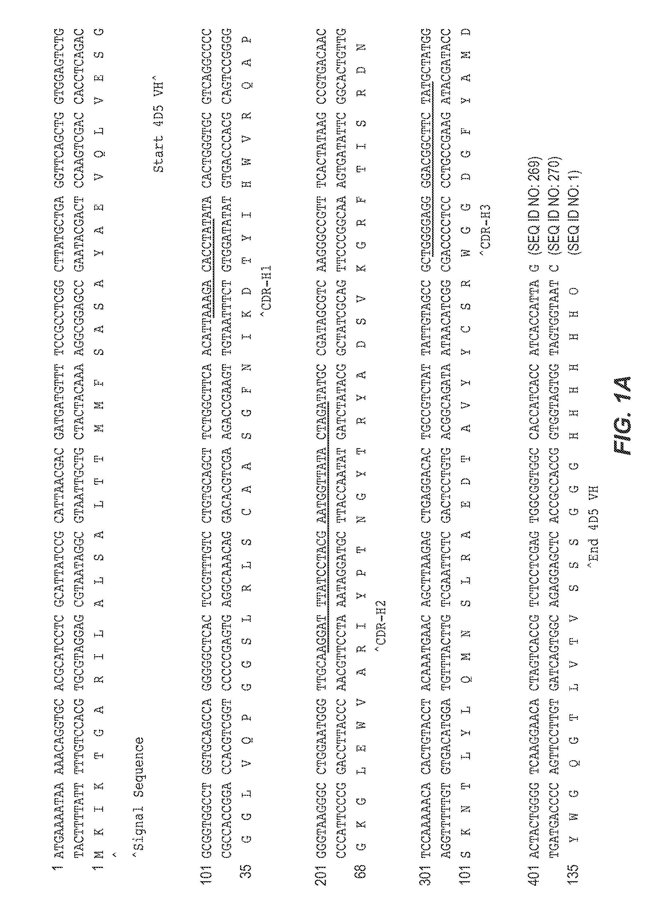 Binding polypeptides with optimized scaffolds