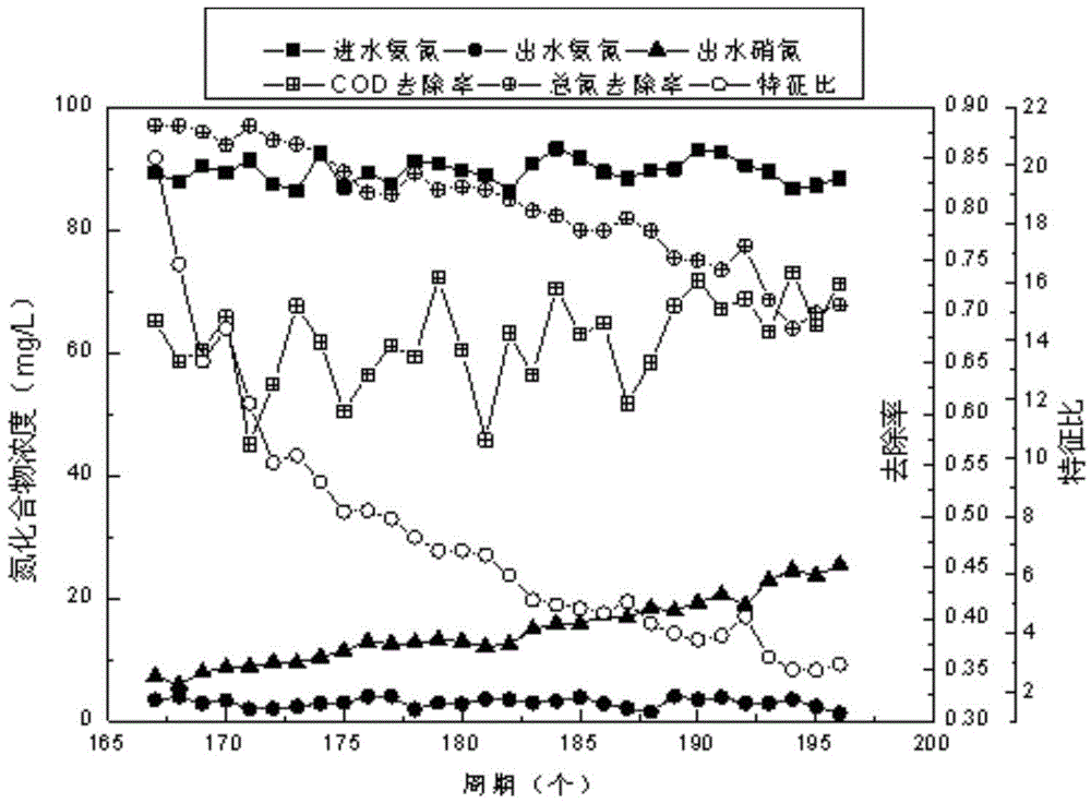 Recovering method of synchronous nitrosation-anaerobic ammonia oxidation and denitrification process