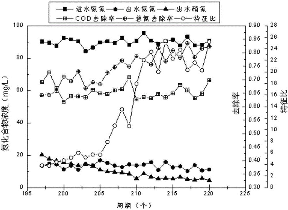 Recovering method of synchronous nitrosation-anaerobic ammonia oxidation and denitrification process