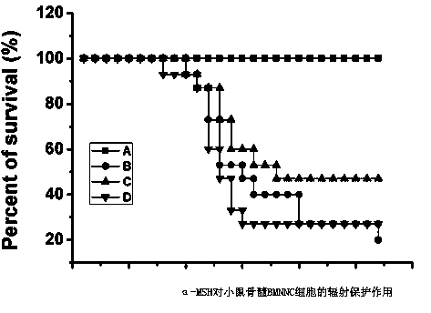 Application of alpha-melanocyte stimulating hormone in preparation of medicine for rising leucocyte and preventing radiation damage