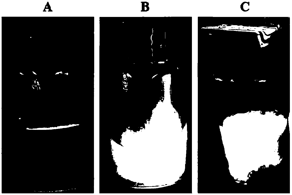 Bacterial cellulose/emu oil composite membrane and preparation method thereof