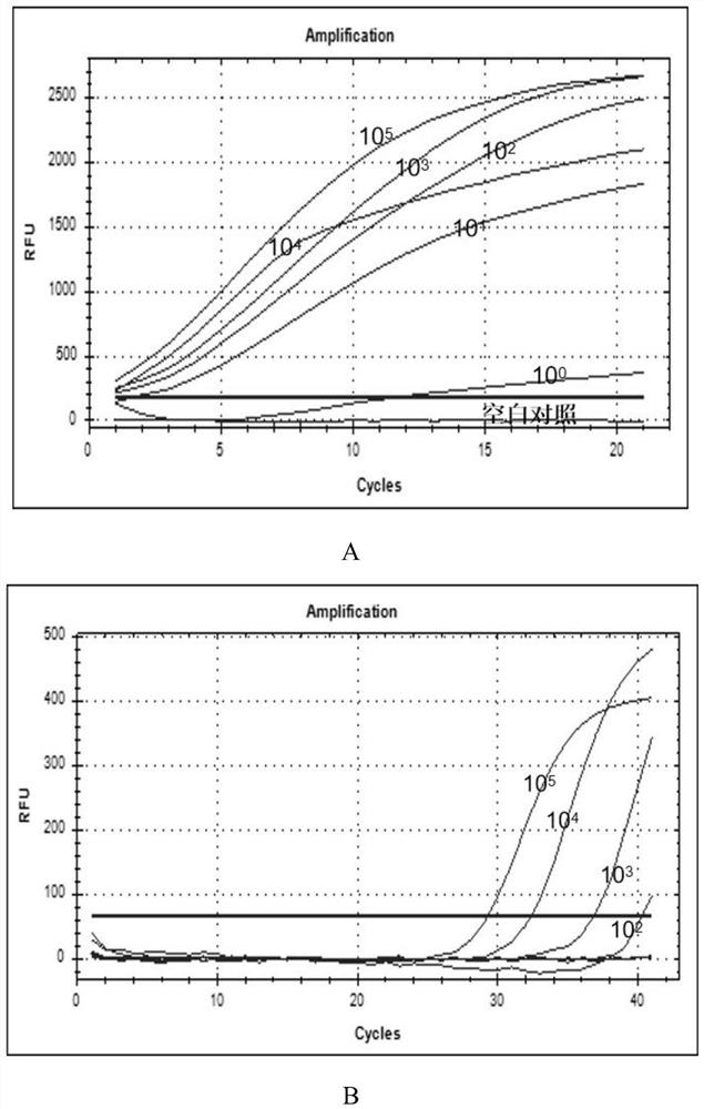 A kind of rap gene detection kit, detection method and application and rap virus detection kit