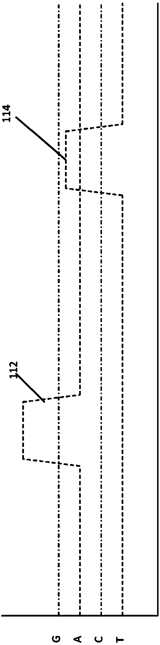 Modified nucleotide reagents