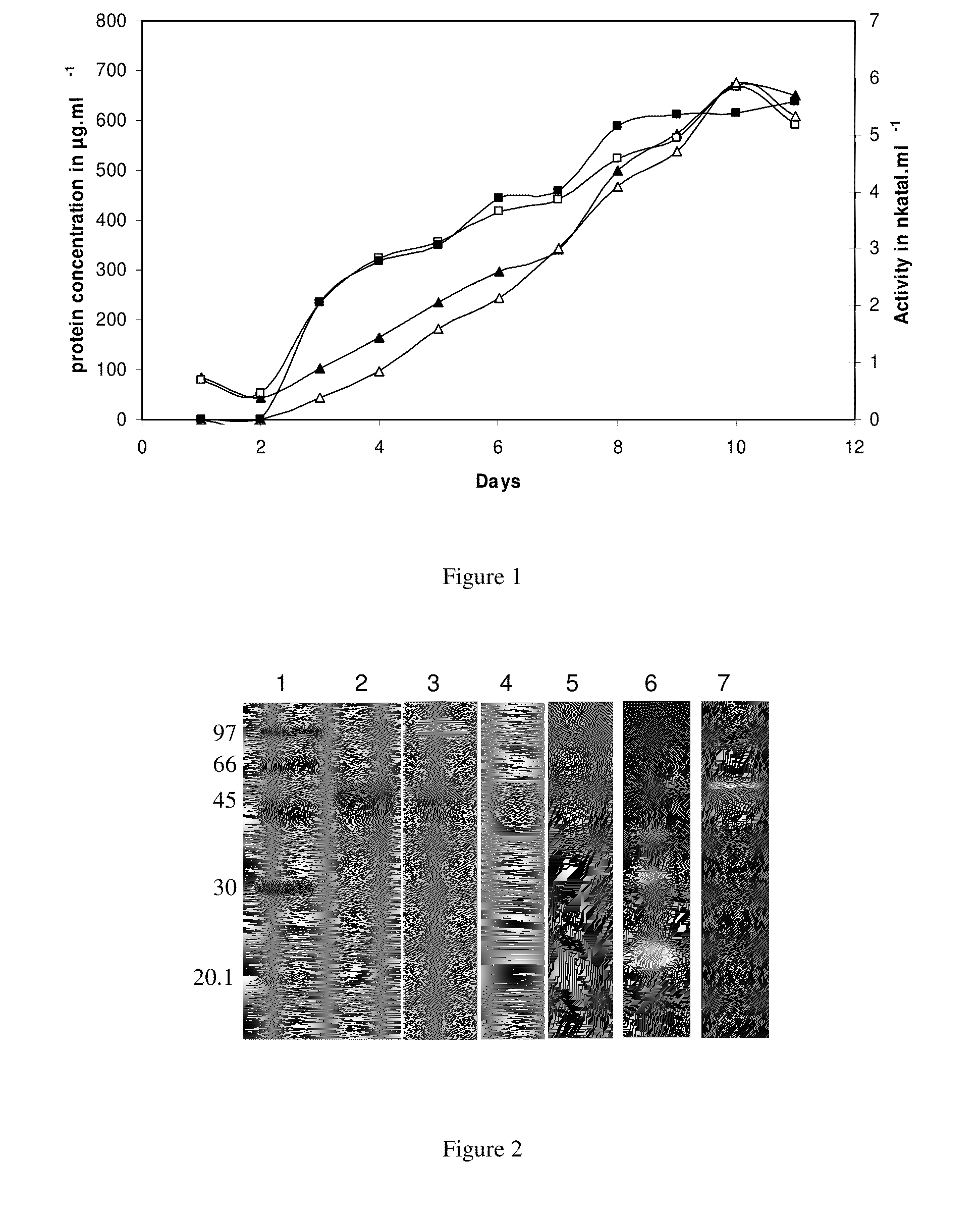 Compositions comprising cellobiose dehydrogenase from pycnoporus cinnabarinus and their use for the degradation of lignocellulosic biomass