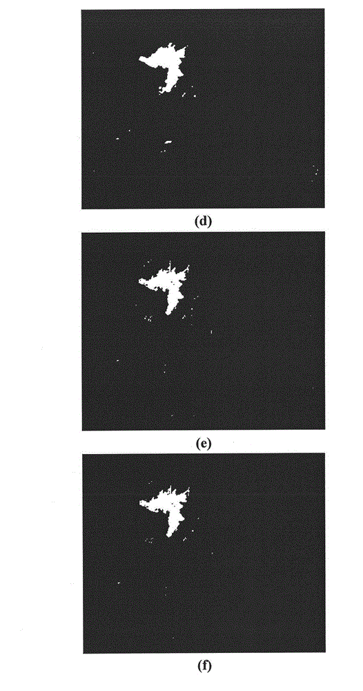 Treelet curvelet domain denoising- based method for change detection of remote sensing image