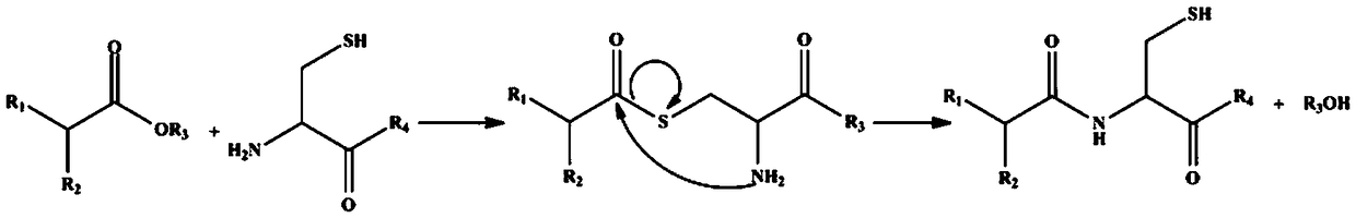 Cysteine-hyaluronic acid conjugates prepared by freeze-drying and thiol-ene click chemistry, and synthetic methods and applications thereof