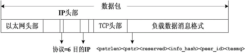 Highly-efficient downloading method for P2P (peer-to-peer) file sharing system based on enhanced teamwork