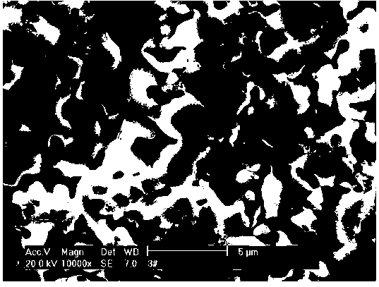 Preparation method of Co-base porous ceramic with adjustable and controllable pore structure