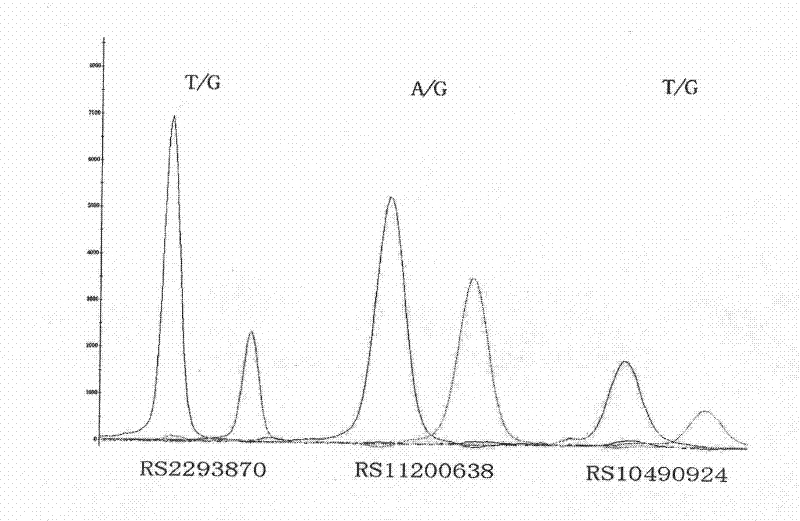 Reagent kit for detecting agedness yellow spot degenerative disease