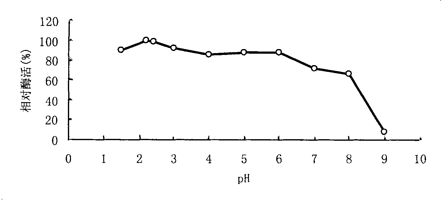 Acidic xylanase XYL10A and gene and application thereof