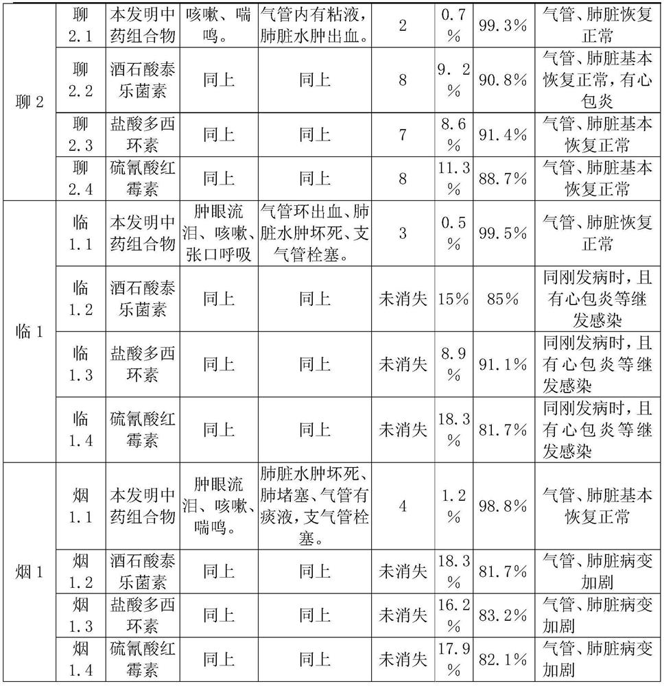 A traditional Chinese medicine composition for treating poultry multi-cause respiratory diseases and preparation method thereof