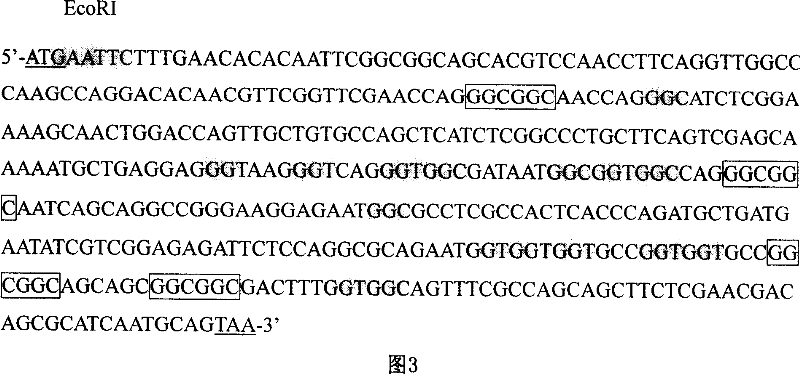 Paddy hpfr gene expression, product and application thereof