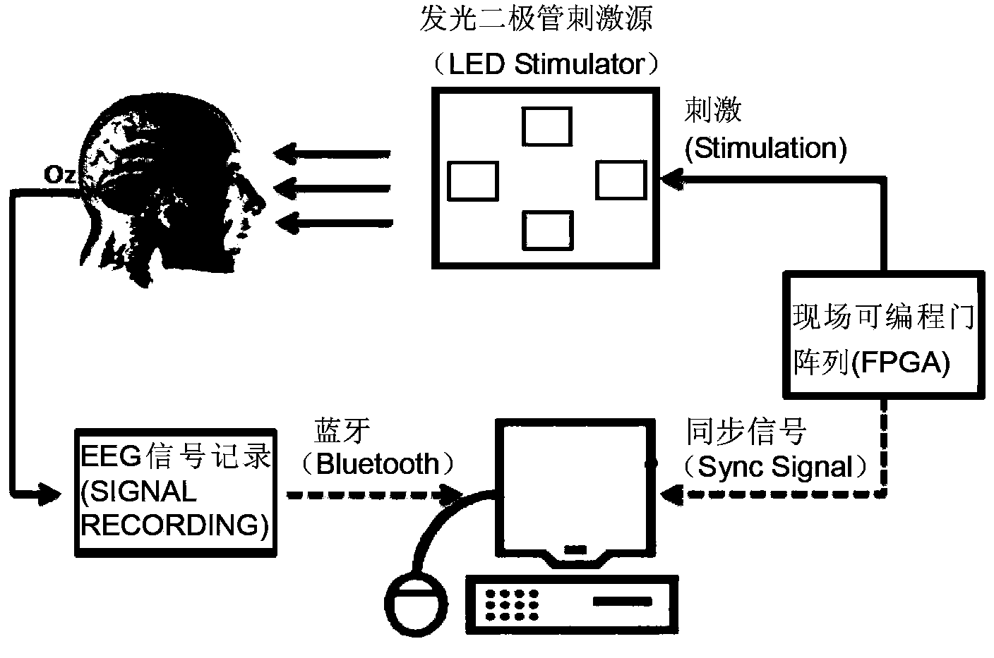 Brain-machine interface paradigm based on frequency conversion flickering stimulation