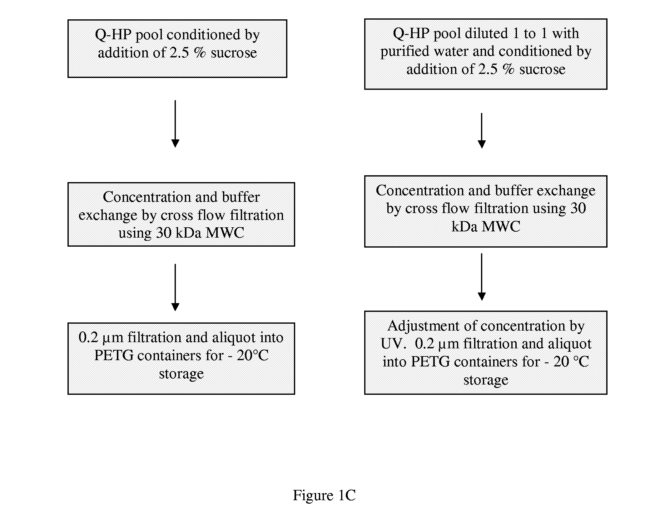 Purification of recombinant human factor XIII