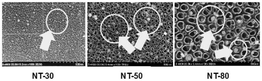 Method for depositing nanogold on surface of titanium dioxide nanotube array