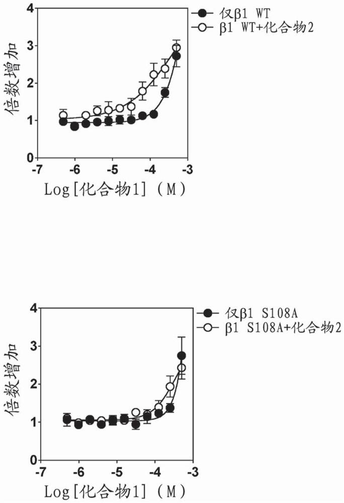 Direct ampk activator compounds in combination with indirect ampk activator compounds, compositions, methods and uses thereof