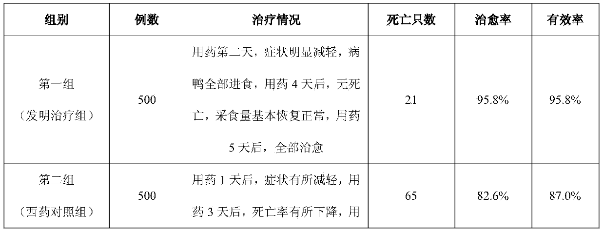 Pharmaceutical composition for treating duck and goose flavivirus infection and preparation method thereof