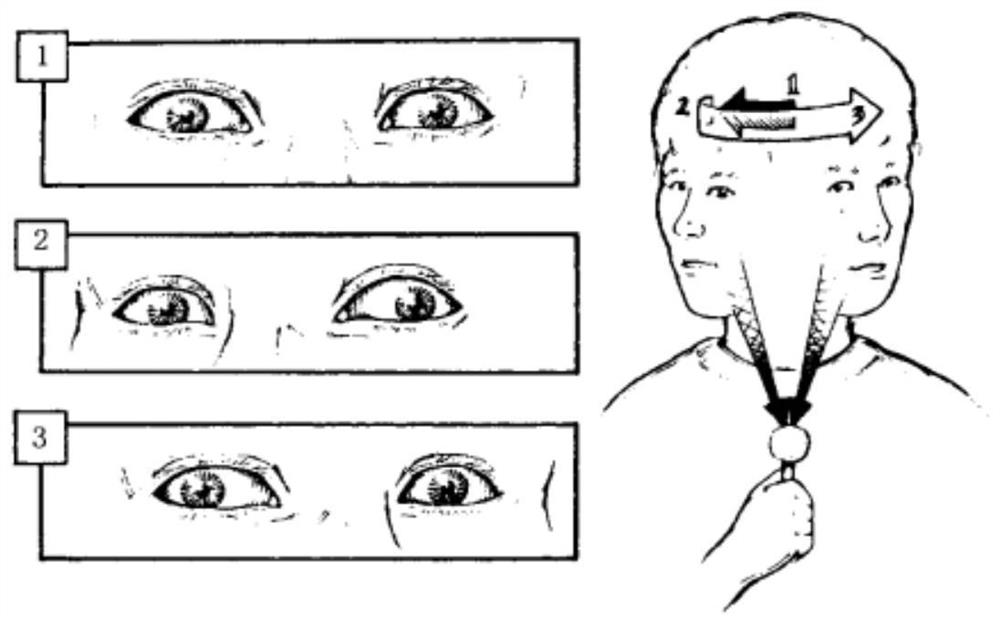 Staring stability training system and control method