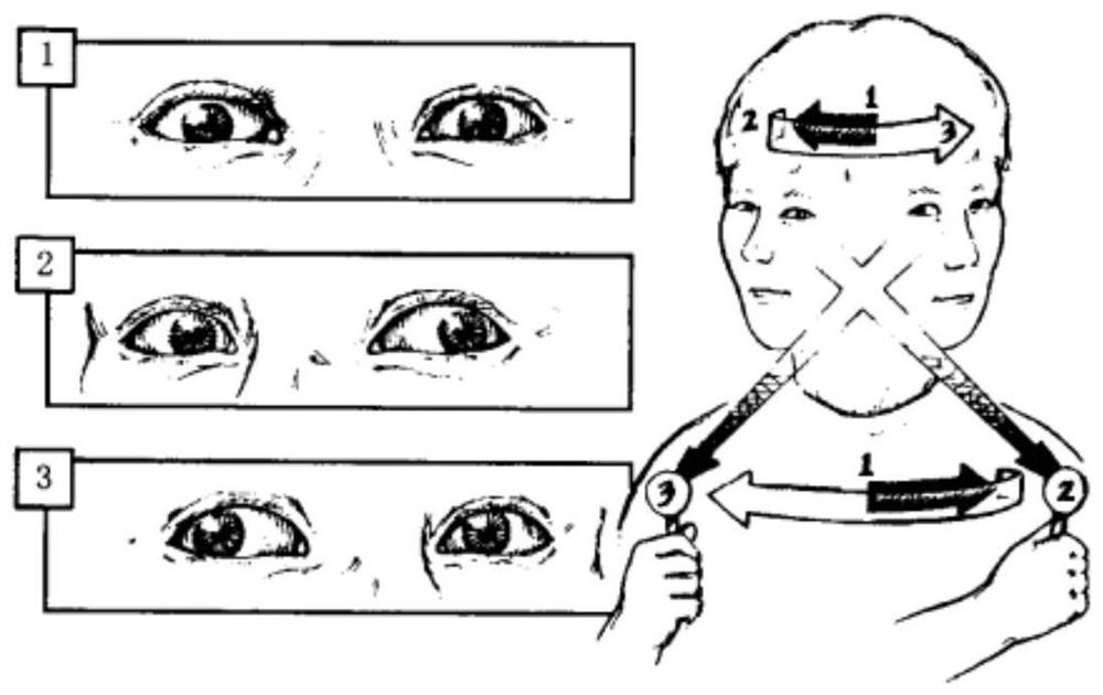 Staring stability training system and control method