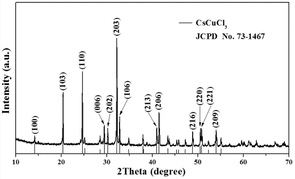 Perovskite compound chloride catalyst and application thereof