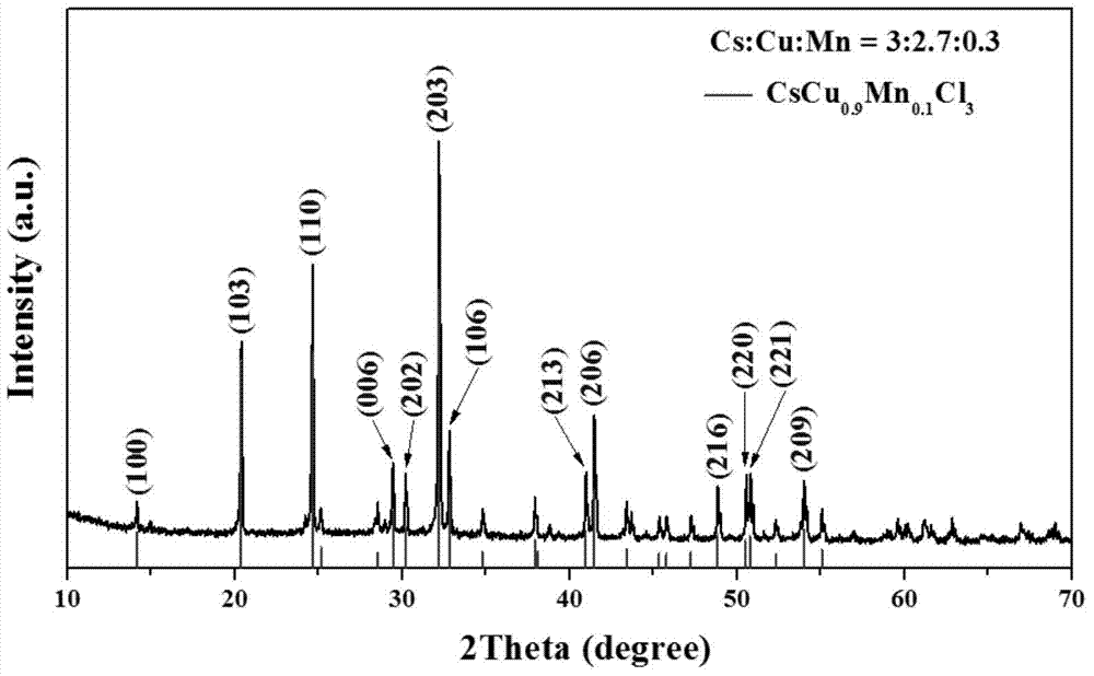 Perovskite compound chloride catalyst and application thereof