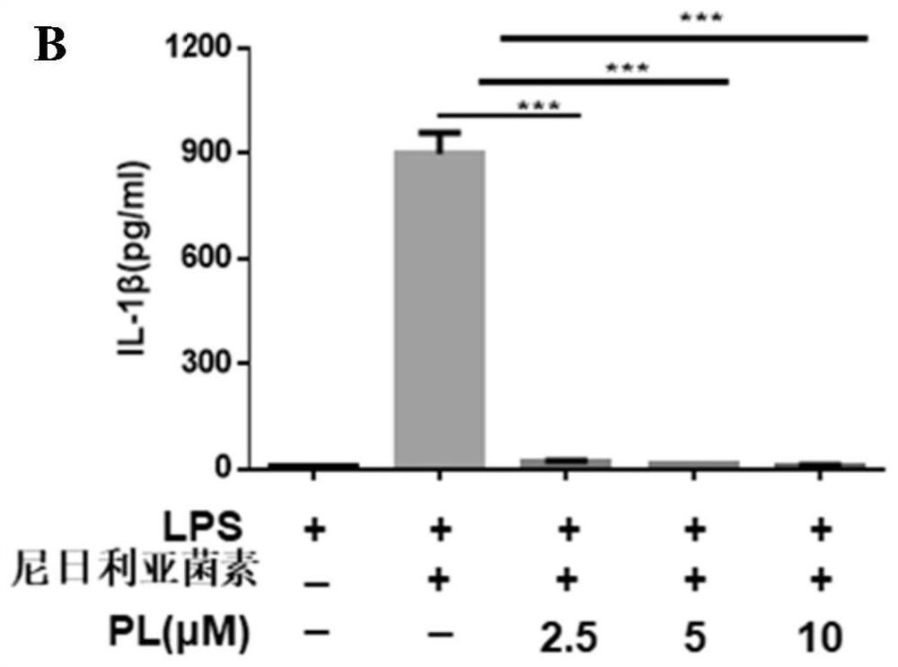 Application of piperlongumine in inhibition of NLRP3 inflammasome activation