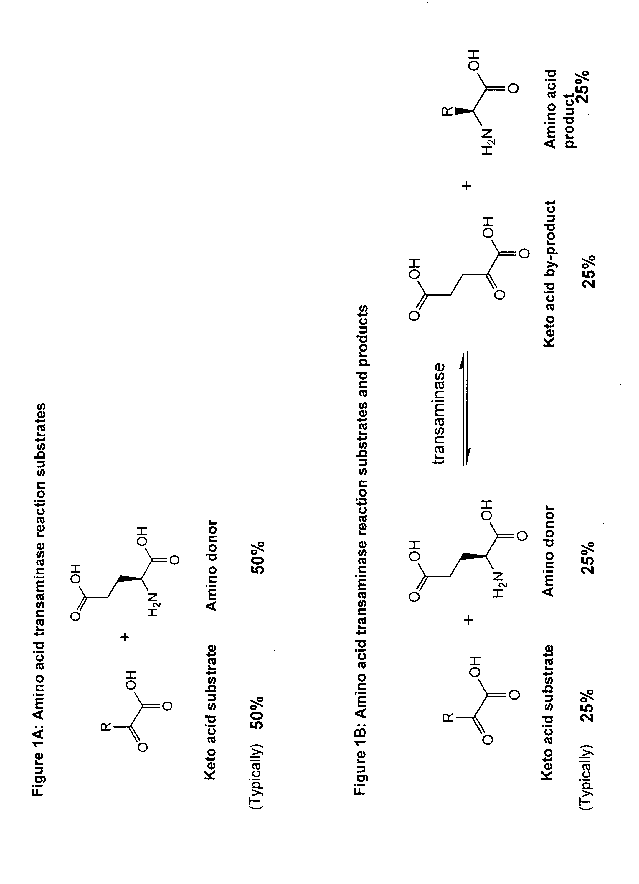 Method to increase the yield and improve purification of products from transaminase reactions
