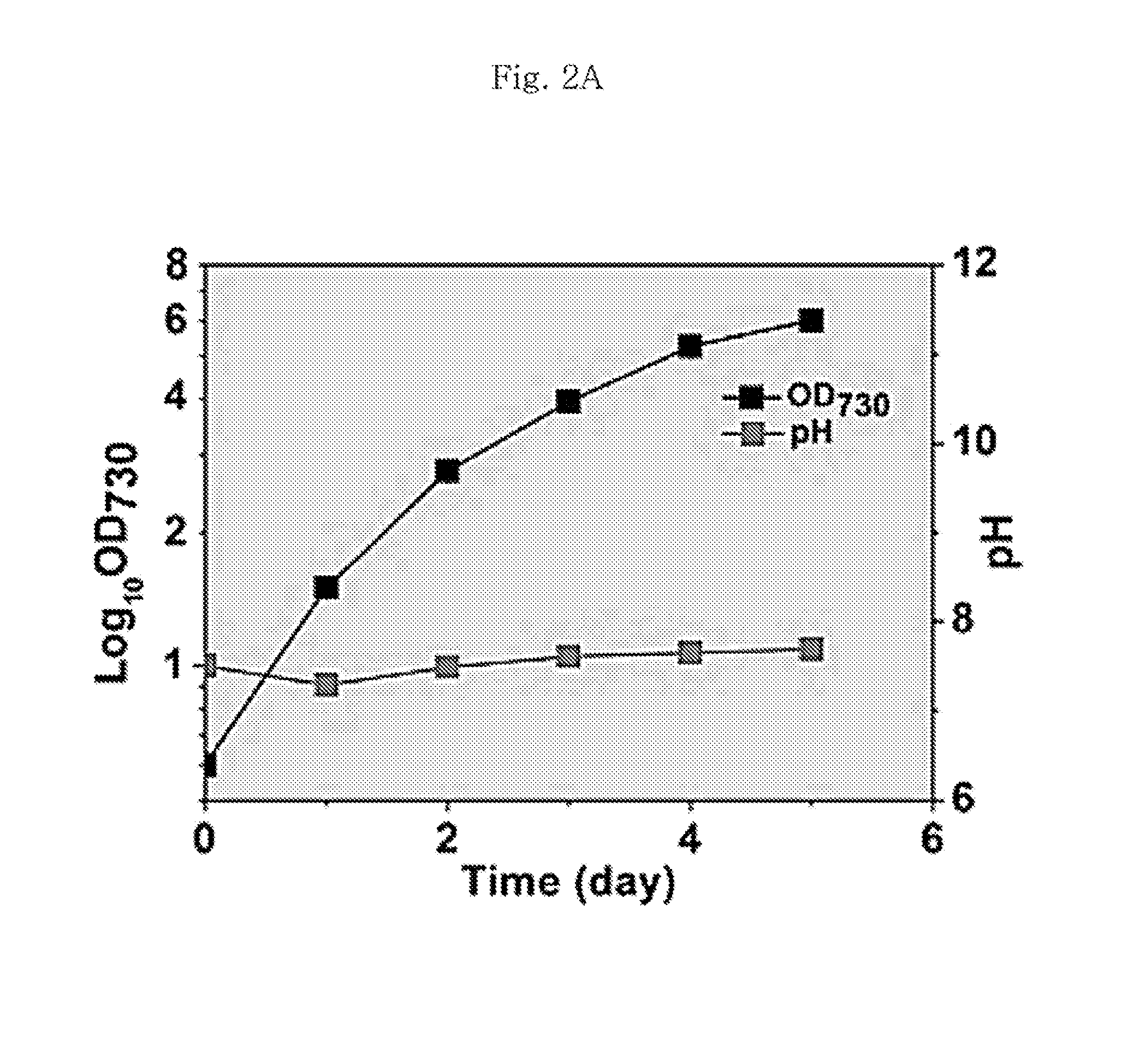 Transformed synechococcus elongatus having capability of producing acetone from carbon dioxide