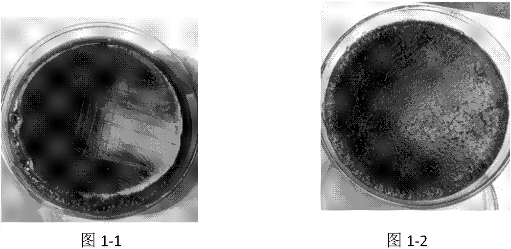 Application of chimonanthus plant anti-helicobacter pylori