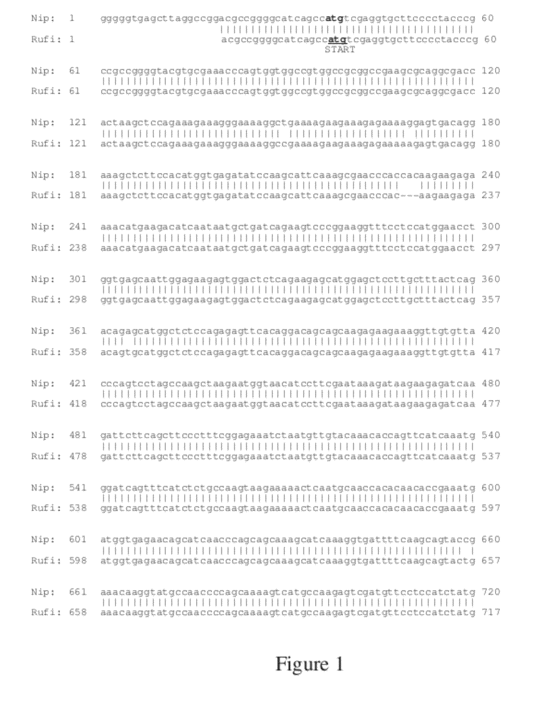 EG1117 Polynucleotides And Uses Thereof