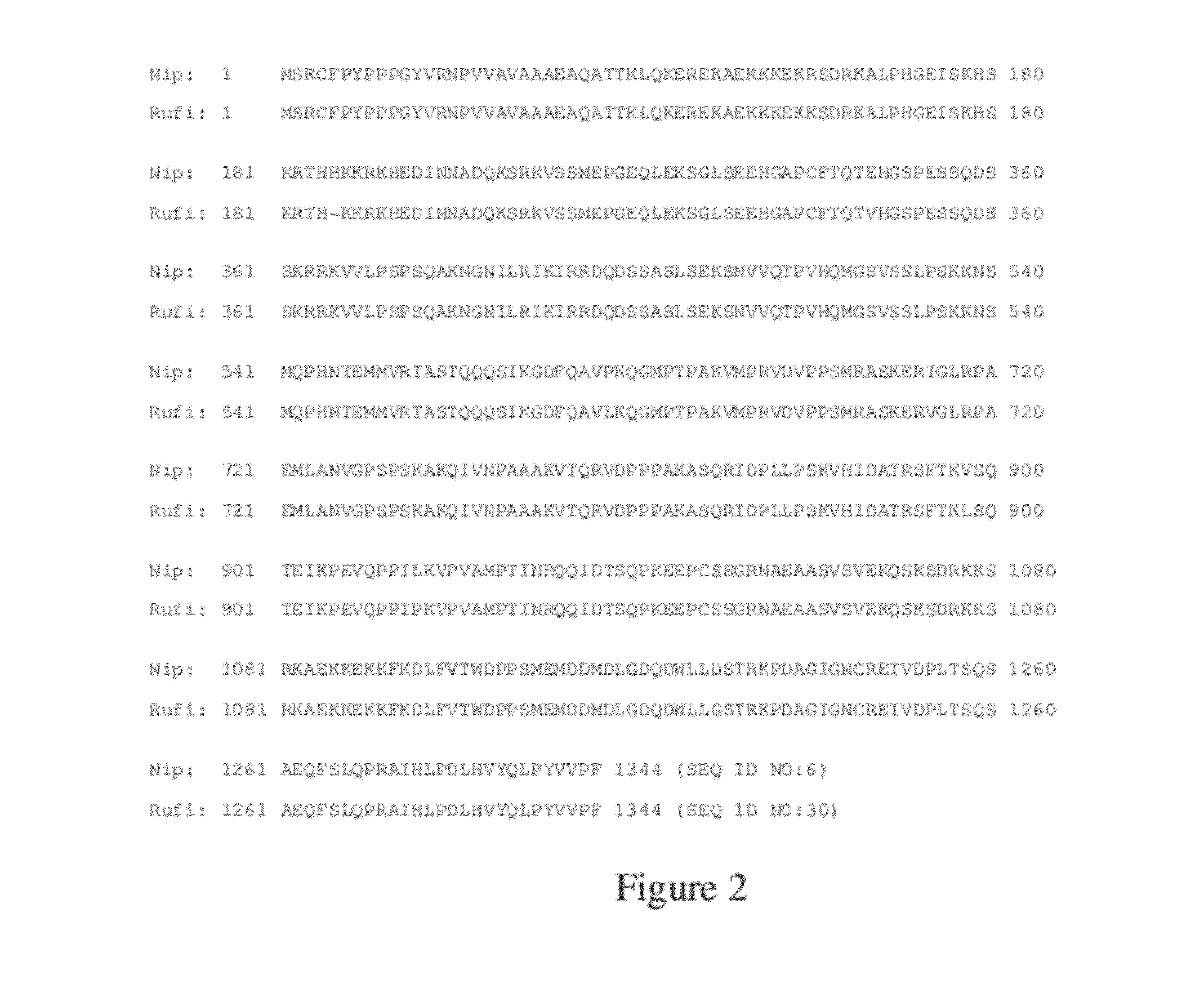 EG1117 Polynucleotides And Uses Thereof